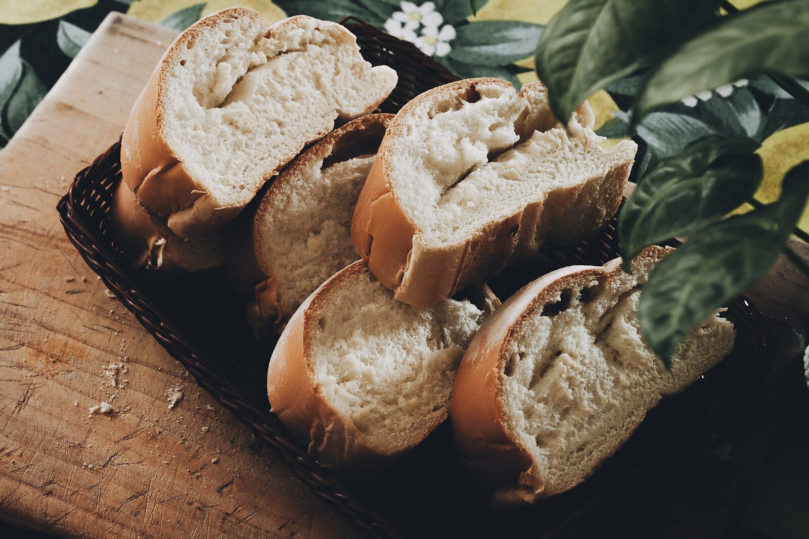whale jumping above water
