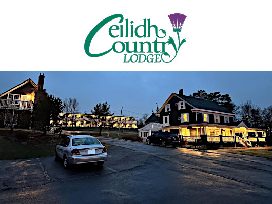 selective focus photography of burger patty, mayonnaise, and French fries served on platter