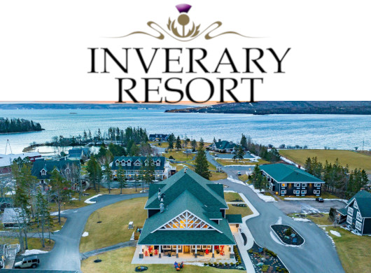 selective focus photography of burger patty, mayonnaise, and French fries served on platter