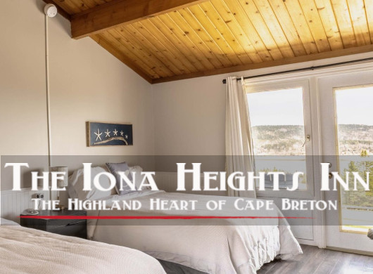 selective focus photography of burger patty, mayonnaise, and French fries served on platter